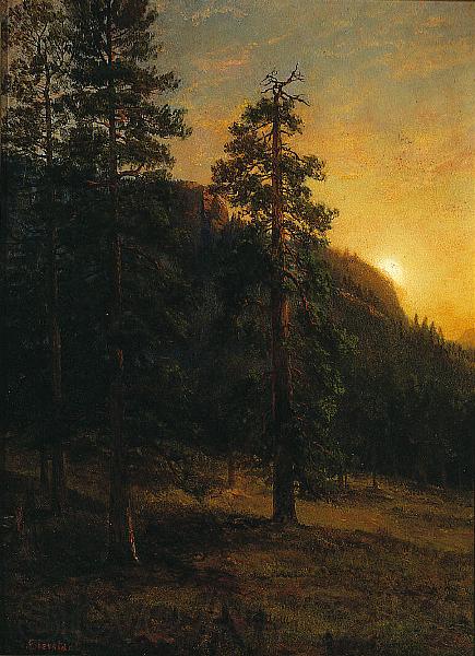 Albert Bierstadt California Redwoods Norge oil painting art